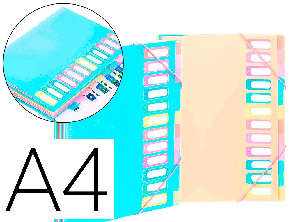 TRIEUR VIQUEL RAINBOW PASTEL 12 COMPARTIMENTS              POLYPROPYLENE A4 25.5X32CM    COLORIS BLEU NUDE